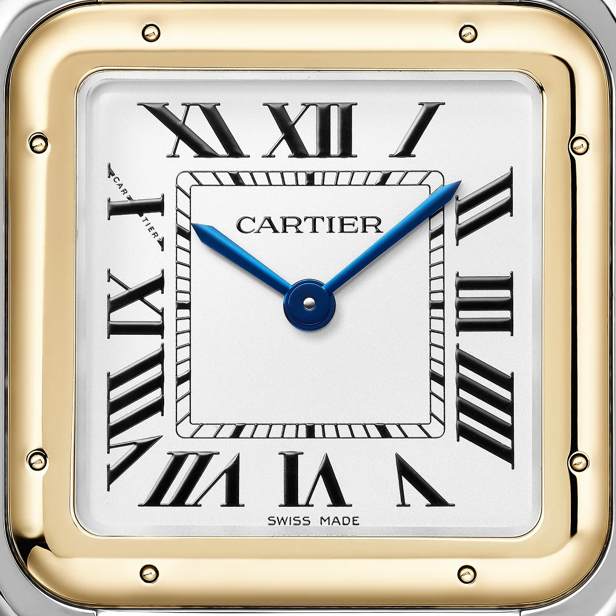 Panthère de Cartier - Image 5