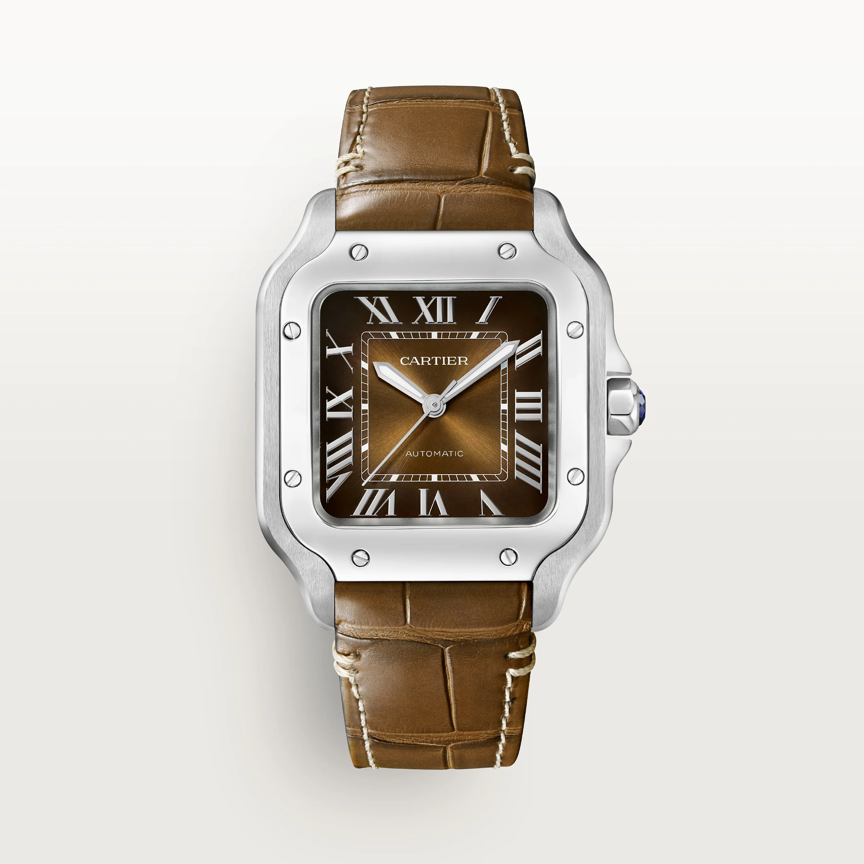 Santos de Cartier - Image 6