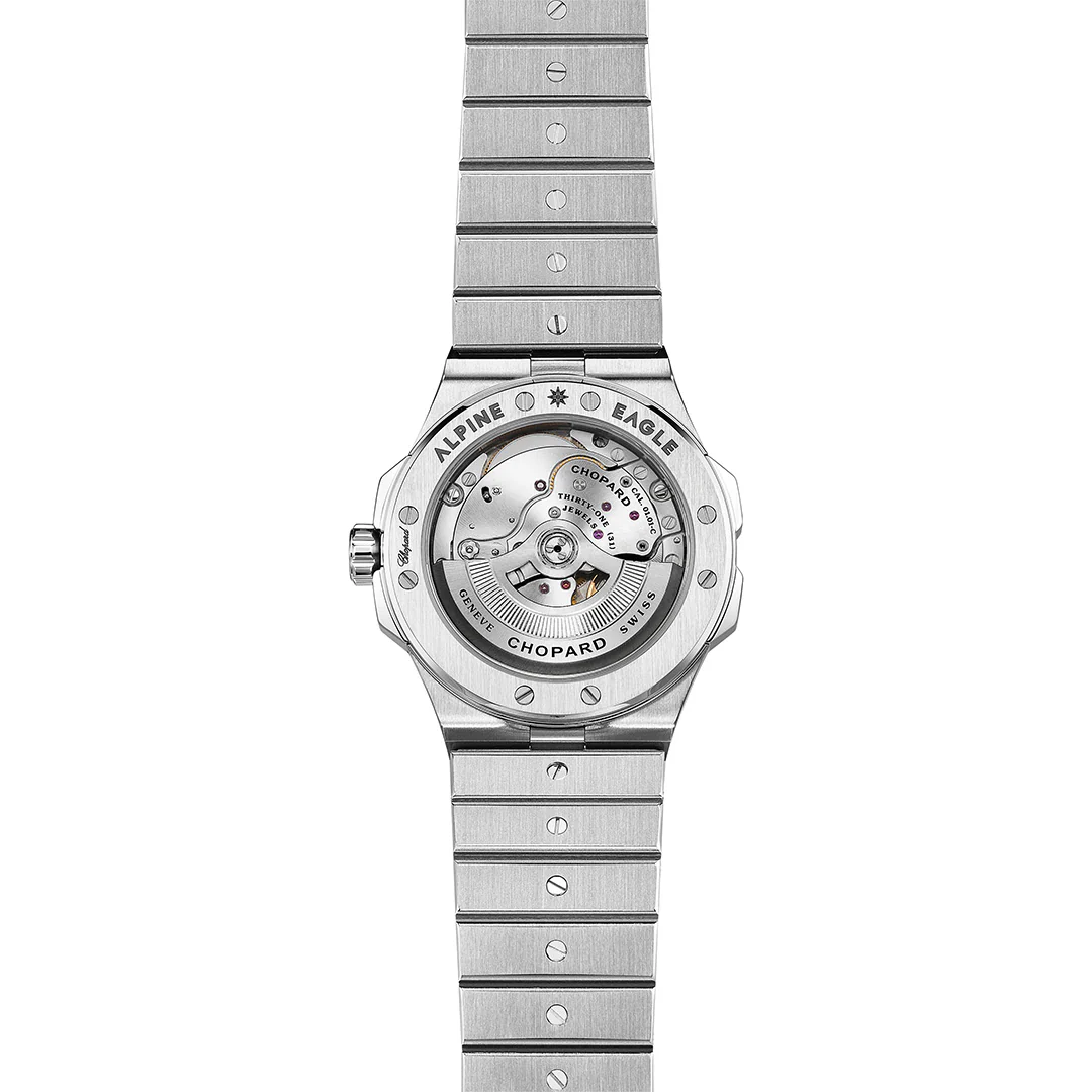 Alpine Eagle 41 - Image 4
