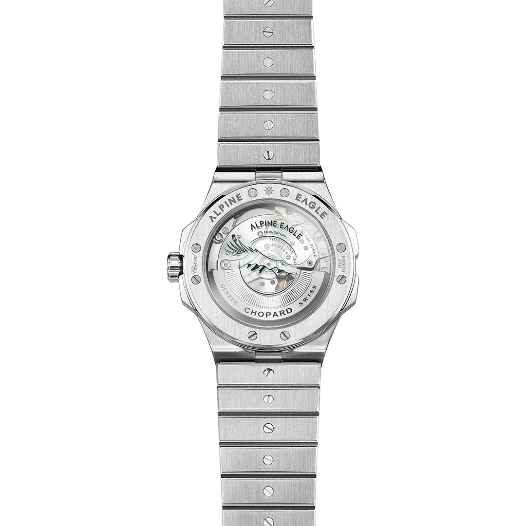 Alpine Eagle 41 - Image 4