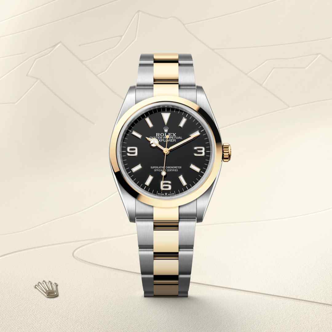 Explorer 36 - Image 2