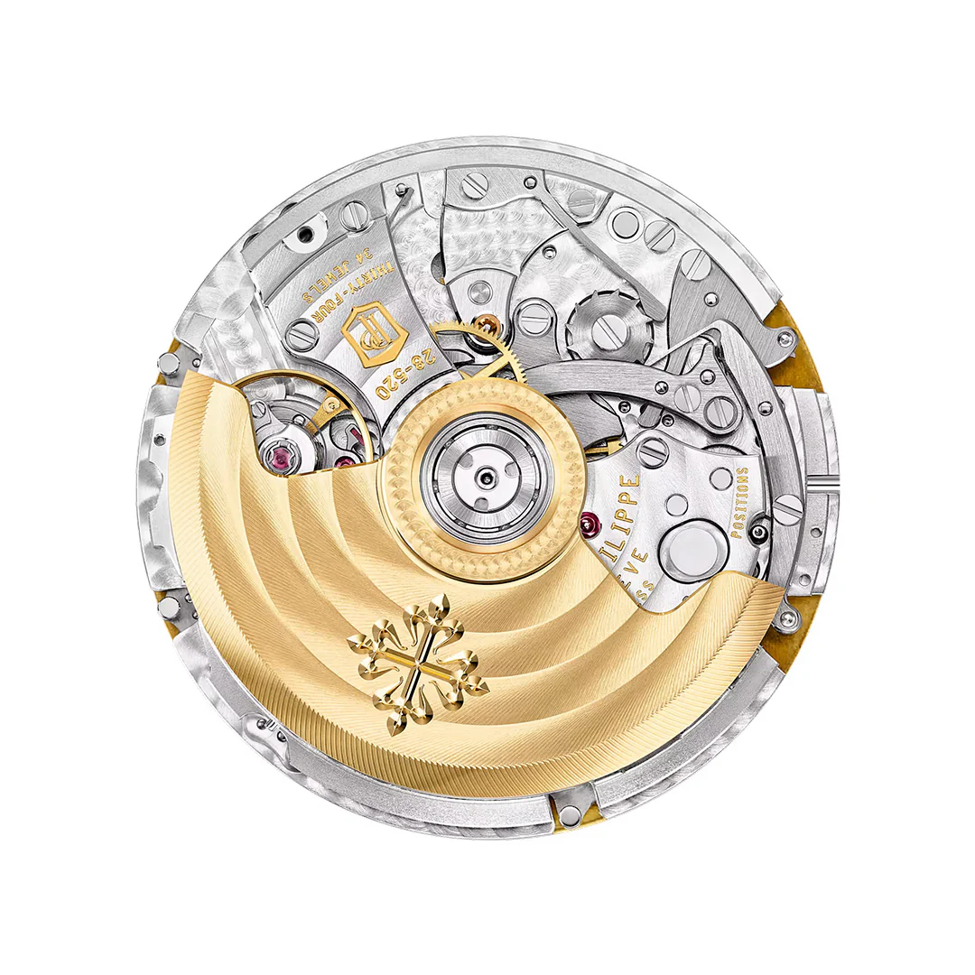 Nautilus - Image 5