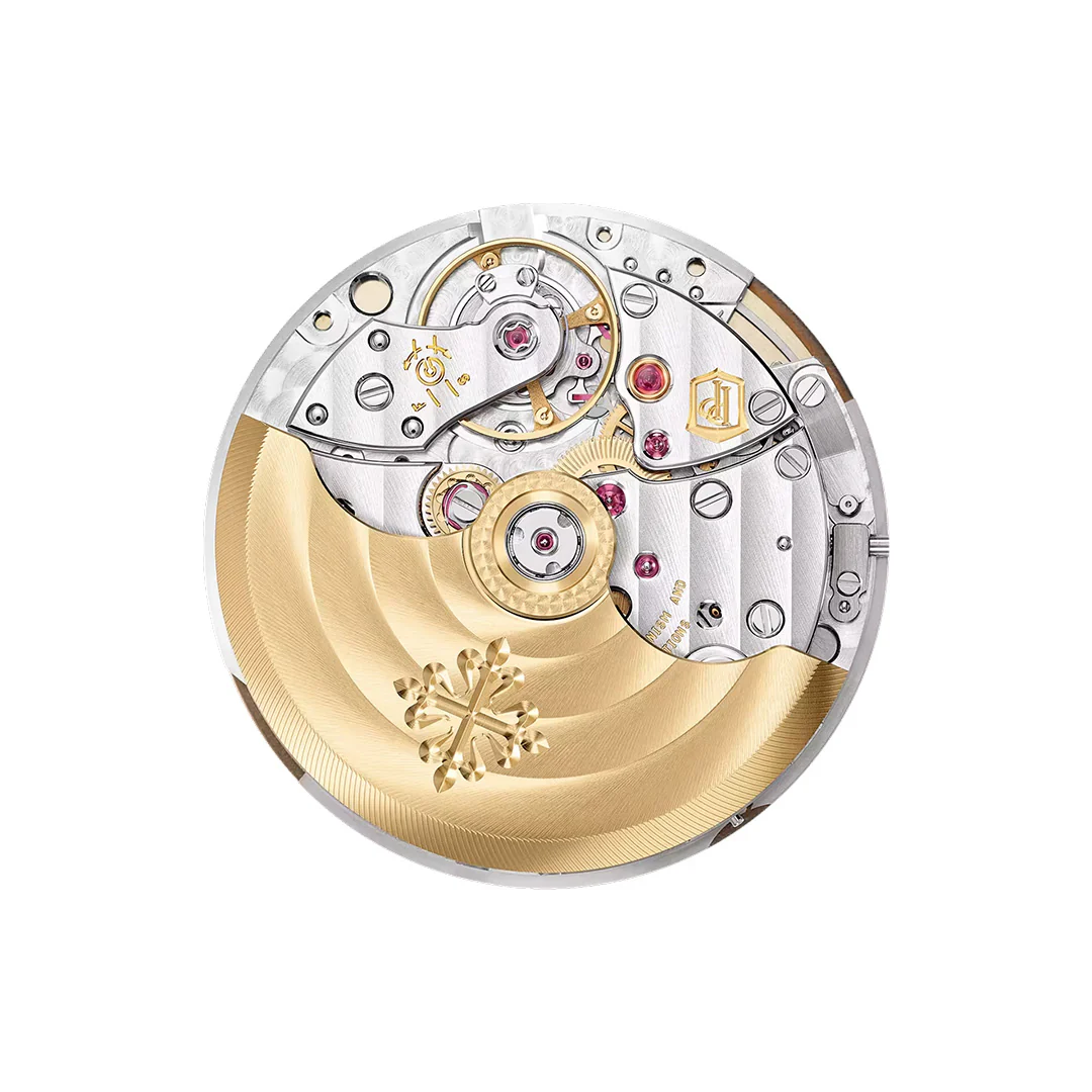 Nautilus - Image 4