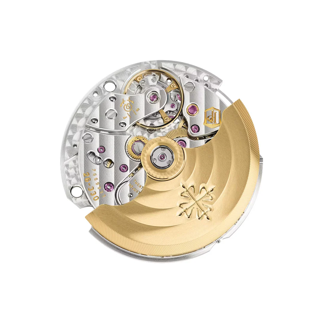 Nautilus - Image 4
