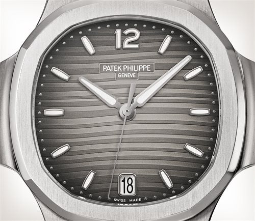 Nautilus - Image 2